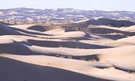 Sand Dunes of Samalayuca